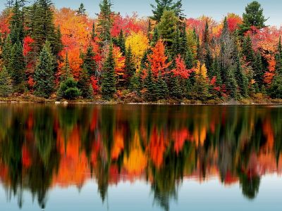 HD-wallpaper-colorful-autumn-forest-forest-colorful-autumn-nature-reflection-trees-lake