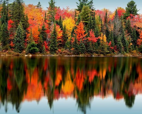HD-wallpaper-colorful-autumn-forest-forest-colorful-autumn-nature-reflection-trees-lake