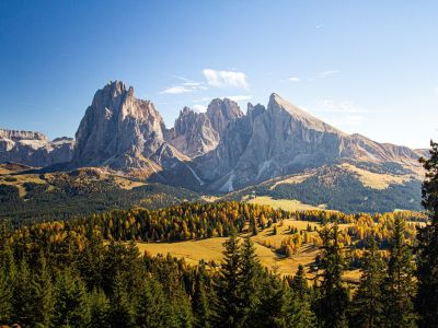 a beautiful shot of grassy hills covered in trees near mountains in Dolomites Italy