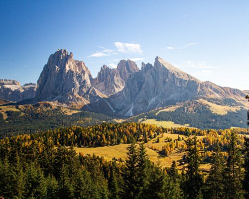 a beautiful shot of grassy hills covered in trees near mountains in Dolomites Italy